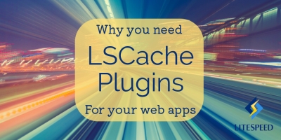 Why You Need LSCache Plugins